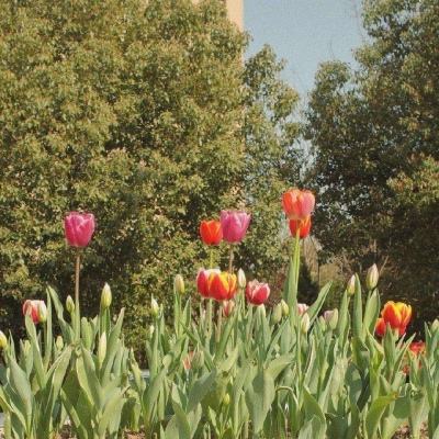 开云·体育(kaiyun)下载手机版