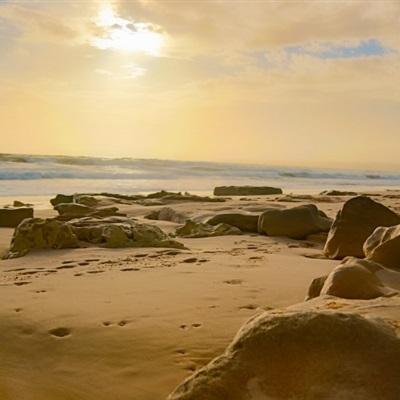 九博体育手机版截图