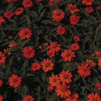 百姓彩票Welcome下载手机版