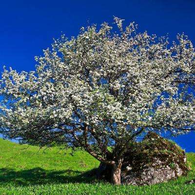 必博手机网页版手机app下载