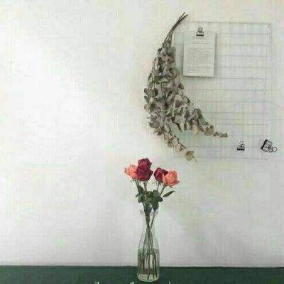 美高梅电子娱乐游戏app