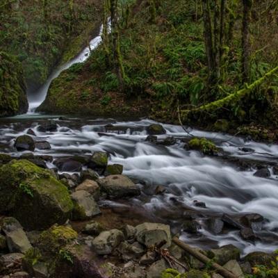 体育投注网址365