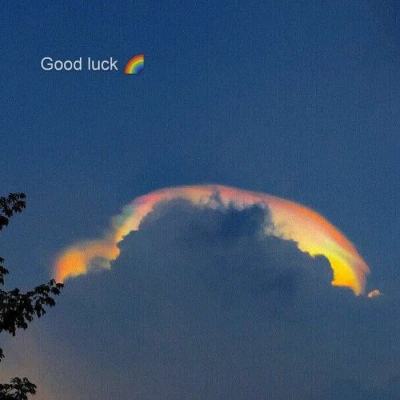 谈球吧·体育截图